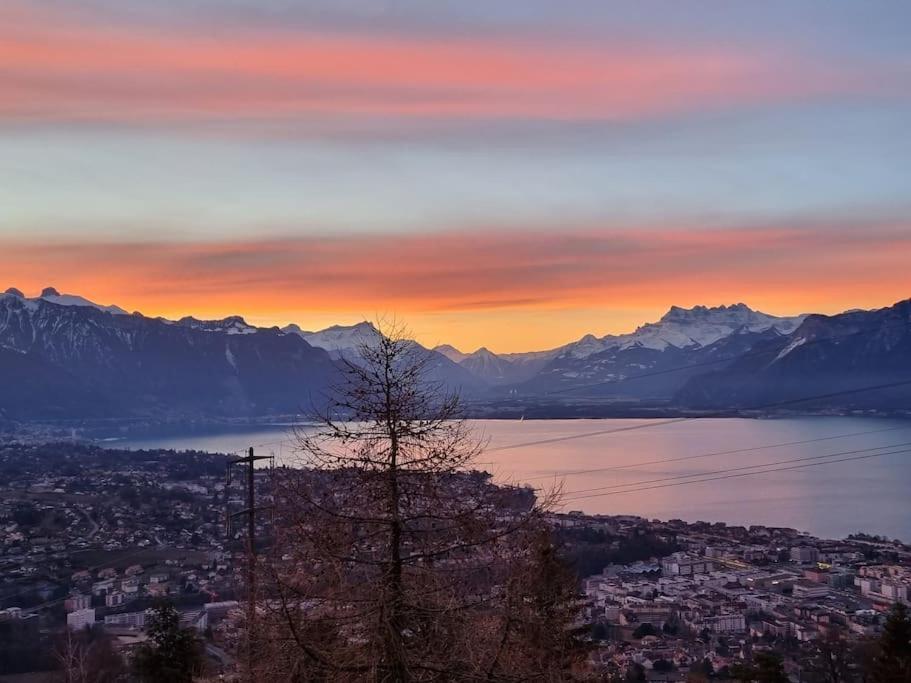Le Toit De Chardonne - Entre Alpes Et Lac Leman 外观 照片